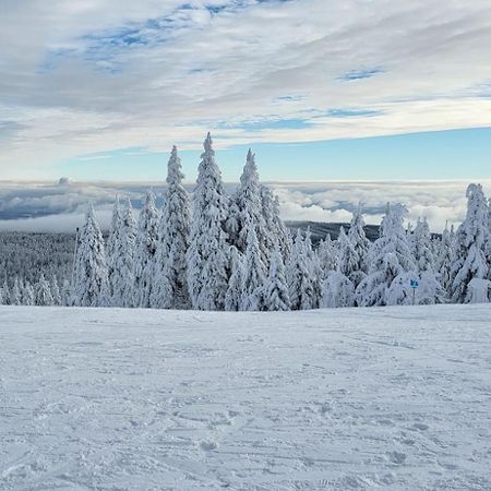 Chata Jeleni Drevenice S Vlastni Virivkou Horni Halze Exterior photo