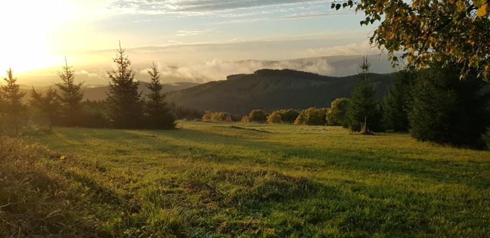 Chata Jeleni Drevenice S Vlastni Virivkou Horni Halze Exterior photo